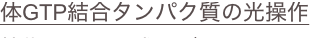 shapeimage_13_link_15