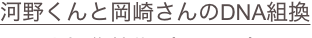 shapeimage_13_link_19