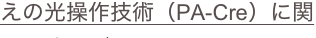 shapeimage_13_link_20
