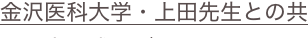 shapeimage_13_link_28
