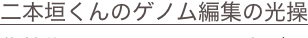 shapeimage_13_link_32