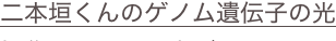 shapeimage_13_link_42