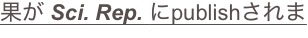 shapeimage_13_link_48